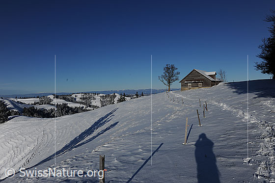 Foto: Stall in Winterlandschaft mit blauem Himmel. Die Hügellandschaft und Wälder sind schneebedeckt. Eine Schneeschuhspur führt entlang eines Weidezauns.