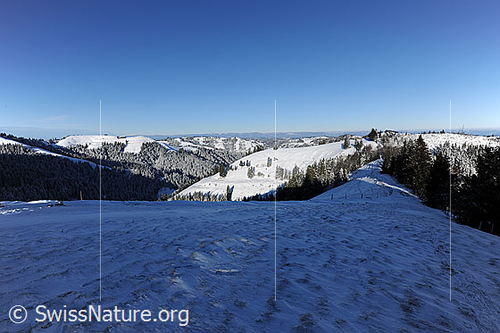Foto: Verschneite Wälder und schneebedeckte Hügellandschaft des Emmentals. Über der Winterlandschaft mit Licht und Schatten ist blauer Himmel zu sehen. Die Schneefläche im Vordergrund weist Strukturen auf.