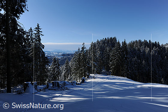 Foto: Waldrand im Winter mit verschneiten Tannen. Durch eine Lücke im Wald ist die schneebedeckte Emmentaler Hügellandschaft zu sehen. Über die Schneedecke im Vordergrund verläuft eine Schneeschuhspur. Licht und Schatten fällt auf die Winterlandschaft.