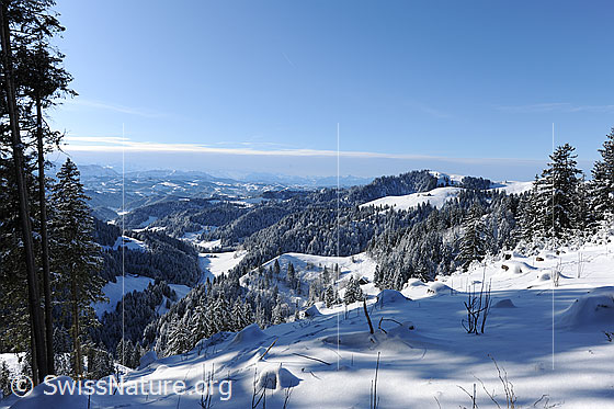 Foto: Emmentaler Hügelland mit Schnee. Die Wälder sind frisch verschneit und die Hügellandschaft liegt unter einer Schneedecke.