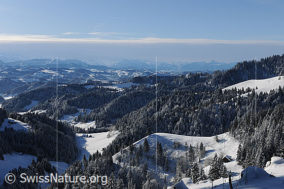 Foto: Verschneite Wälder und schneebedeckte Hügel des Emmentals. Über der Bergkette im Hintergrund erstreckt sich ein Wolkenfeld (Wetterfront). In der Winterlandschaft sind einzelne Bauernhöfe erkennbar (Streusiedlung).