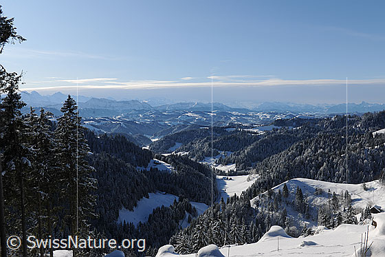 Foto: Schnee in Emmentaler Hügellandschaft. Winterlandschaft mit verschneiten Wäldern,  schneebedeckten Hügeln und einzelnen Bauernhöfen (Streusiedlung). Über der Bergkette der Voralpen erstreckt sich ein Wolkenfeld (Front).
