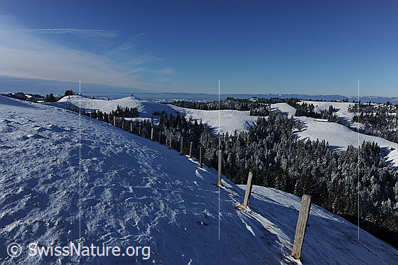 Foto: Winterbild: Emmentaler Hügelzüge mit verschneiten Wäldern. Im Vordergrund ist ein Weidezaun zu sehen. Die Alpweide ist schneebedeckt und weist Strukturen auf.