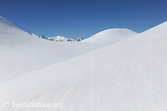 Foto: Linie und Formen in Schneefläche. Die sanfte, schneebedeckte Berglandschaft ist unberührt.