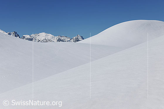 Foto: Formen und Linie in schneebedeckter Berglandschaft. Die Schneeoberfläche der lieblichen Winterlandschaft ist unberührt.