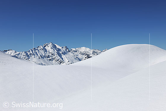 Foto: Gerundete Formen und Linien in Winterlandschaft mit unberührten Schneeflächen.