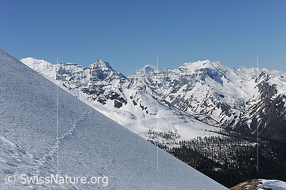 Foto: Schneebedeckte Flanke mit Ausblick auf die Berglandschaft (Helsenhorn, Vordere Helse, Monte Leone, Hillehorn). Eine ältere Wildspur querte den Hang.