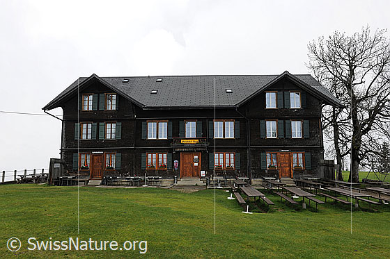 Foto: Berghotel Napf mit grosser Wiese und Terrasse.
