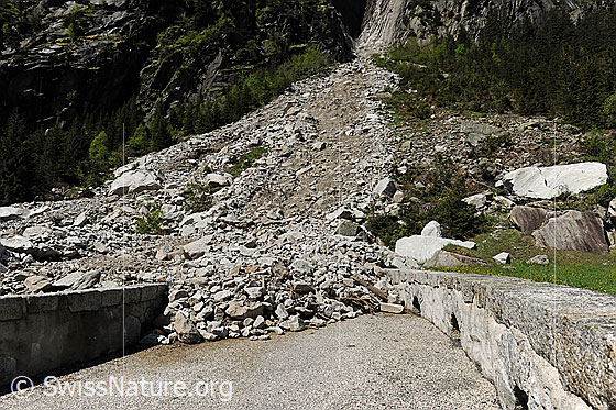Foto: Durch Bergsturz verschüttete Passstrasse (Naturgefahr). Der Geröllkegel kam auf der Fahrbahn zum stehen.