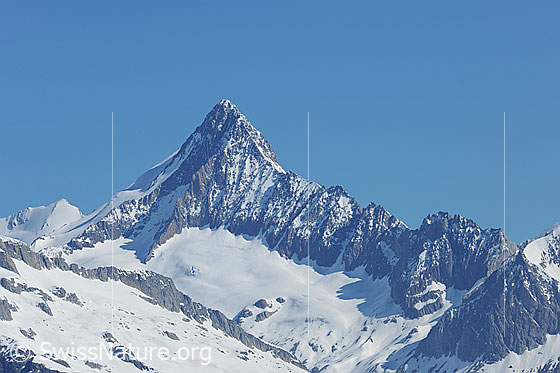 Foto: Finsteraarhorn vom Breithorn (Binntal)