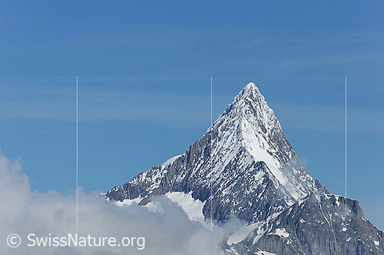 Foto: Finsteraarhorn von SE. Bergpyramide vor blauem Himmel mit dünnen Schleierwolken.