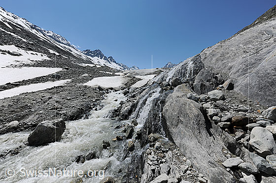 Foto: Ursprung der Aare. Teil der jungen Aare kurz nach dem Verlassen des Oberaargletschers.