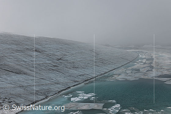 Foto: Nebelstimmung am Gletschersee. Eine geheimnisvolle Stimmung herrscht am Chüebodengletscher. Das türkisfarbene Wasser wird vom Wind aufgerauht und die Eisschollen bedecken eine grosse Fläche des Sees. Am Ufer bildet der Gletscher eine markante Kante.