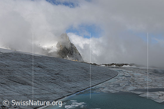 Foto: Nebelstimmung über Gletscher und Gletschersee. Eine geheimnisvolle Stimmung herrscht am Chüebodengletscher. Das türkisfarbene Wasser wird vom Wind aufgerauht und die Eisschollen bedecken eine grosse Fläche des Sees. Am Ufer bildet der Gletscher eine markante Kante. Im Gletschereis sind Jahrringe erkennbar.