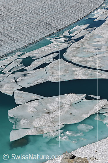 Foto: Gletschersee in den Farben hellblau bis türkis. Die Eisdecke ist in Schollen gebrochen. Unter der Wasseroberfläche ist Eis zu sehen. Auf der Eisoberfläche des Gletschers bilden feine Rillen und die Jahrringe ein regelmässiges Muster.
