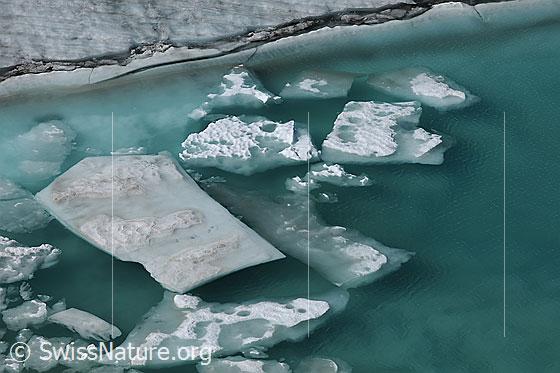 Foto: Eisschollen im Gletschersee. Der Seegrund besteht aus Eis und das Wasser ist klar und türkisfarben.