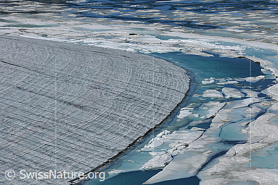 Foto: Gletschersee und Gletscherrand des Chüebodengletschers. Auf dem ausgeaperten Gletscher ist ein regelmässiges Muster der Jahrringe zu sehen. Die Eisdecke über dem See ist aufgebrochen und hat sich in Eisschollen zerlegt. Die Farbe des Wassers ist hellblau.