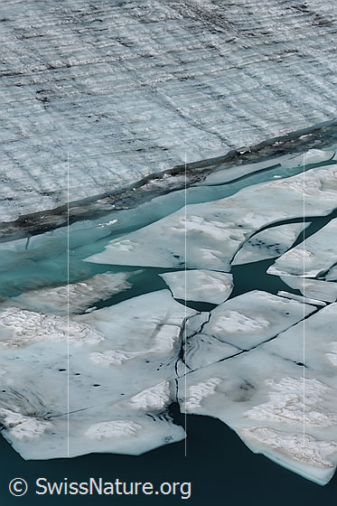 Foto: Gletschersee mit aufgebrochener Eisdecke, welche sich in Schollen zerlegt. Am Gletscherrand ist das Wasser türkis gefärbt. Im Gletschereis sind die Jahrringe erkennbar.