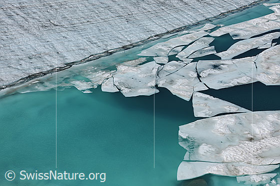 Foto: Türkisfarbenes Wasser im Gletschersee. Im klaren Wasser ist das darunterliegende Gletschereis zu sehen. Auf der Wasseroberfläche schwimmen Eisschollen. Im festen Gletschereis sind Jahrringe erkennbar.