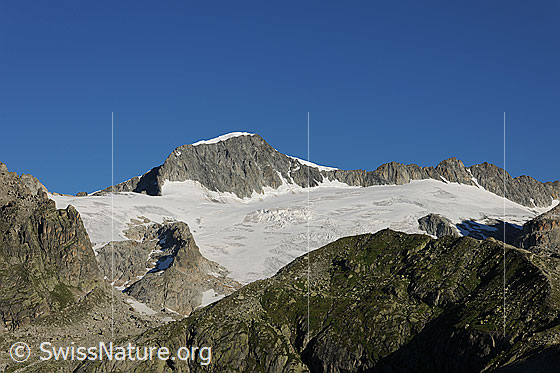 Foto: Galenstock von SE und Tiefengletscher (Sommeraufnahme). Davor Fels und Gras durchsetzter Berghang.