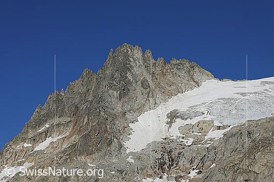 Foto: Kletterberg Gross Bielenhorn von E. Rechts davon ein Teil des Tiefengletschers.