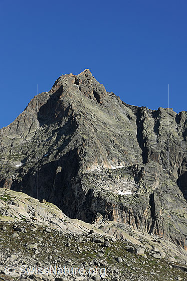 Foto: Am Fusse des Gletschhorn.