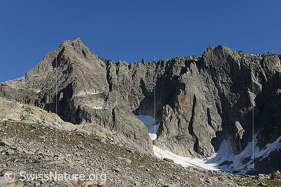 Foto: Gletschhorn mit seinen Felswänden und Felsgraten. In der Mulde vor dem Gletschhorn die Reste des Sunniggletschers.