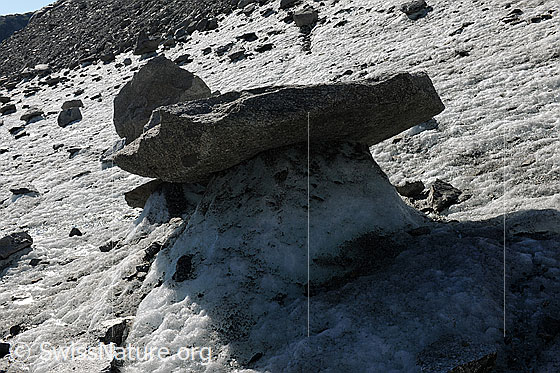 Foto: Gletschertisch auf dem Tiefengletscher.

