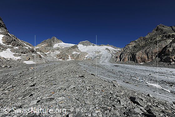 Foto: Geröll auf dem Tiefengletscher. Der Gletscher führt Felsblöcke und kleineres Geröll mit. Im Hintergrund sind Gross Bielenhorn und Galenstock zu sehen.
