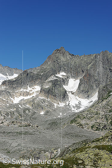 Foto: Gletschhorn von S.
Rechts die Überreste des Sunniggletschers.