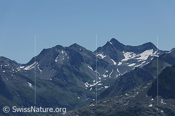 Foto: Rotstock, Pizzo Centrale, Gamsspitz und Guspisfirn.
Links die Überreste des Gitzialpetlifirns.