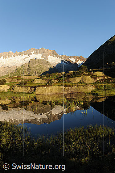 Foto: Spiegelung im Morgenlicht. Stimmungsvoll spiegeln sich Felsbänder am Ufer und das Dammastockmassiv im spiegelglatten, blauen Wasser eines kleinen Bergsees.