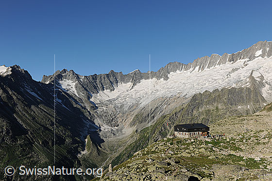 Foto: Bergseehütte vor Dammagletscher und dem Bergpanorama mit den Gipfeln
Winterstock - Gletschhorn - Galenstock - Tiefenstock - Rhonestock - Dammastock
Gletscher: Winteregfirn - Dammagletscher.
