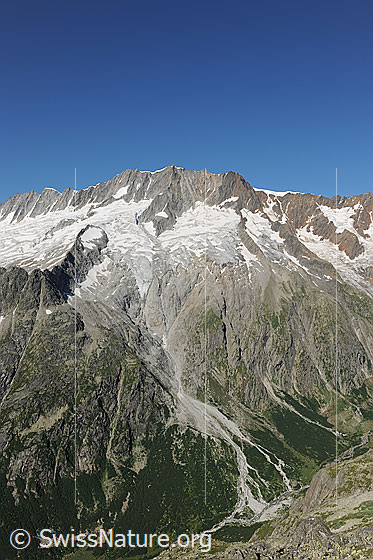 Foto: Dammastock, Schneestock, Eggstock und Rotfirn.
Die Gipfel Rhonestock - Dammastock - Schneestock - Eggstock und die Gletscher
Dammagletscher - Rotfirn - Mässplanggstockfirn - Schattmigstockfirn liegen hoch über den steil abfallenden Felswänden und Grashängen. Im Talgrund ist die Chelenreuss zu sehen.