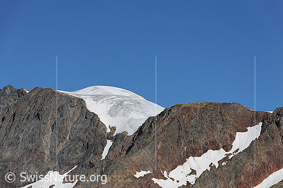 Foto: Gwächtenhorn. Die gerundete Firnkuppe erhebt sich über die rötlichen Felsen. Der Himmel ist blau.