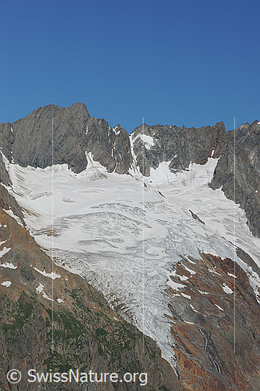 Foto: Maasplanggstock und Maasplanggfirn.
Gipfel und Übergänge: Südliches Maasplanggjoch - Maasplanggstock - Nördliches Maasplanggjoch - Hinter Tierberg
Gletscher: Maasplanggfirn mit abgeflachter Gletscherzunge