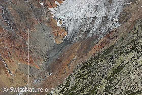 Foto: Zunge des Chelengletschers. An ihrem Ende ist die Gletscherzunge stark abgeflacht und mit Geröll in grauer und rötlicher Farbe bedeckt (= Obermoräne). Die Gletscherlandschaft wirkt urtümlich.

