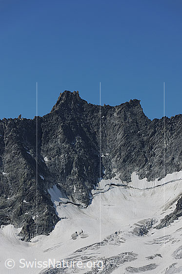 Foto: Gletschhorn und Dammagletscher mit markantem Bergschrund.