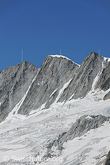 Foto: Rhonestock und Dammagletscher.