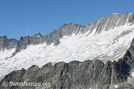 Foto: Blick in den Kessel des Dammagletschers.
Gipfel: Galenstock - Tiefenstock - Rhonestock. Im Vordergrund der gezackte Felsgrat des Moosstock.