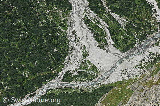Foto: Tiefblick ins Chelenalptal auf die Chelenreuss. Zahlreiche Äste kleiner Bäche sammeln sich im Talgrund zu einem breiten, unverbauten Bach, welcher durch Geröllkegel und grüne Landschaft fliesst.