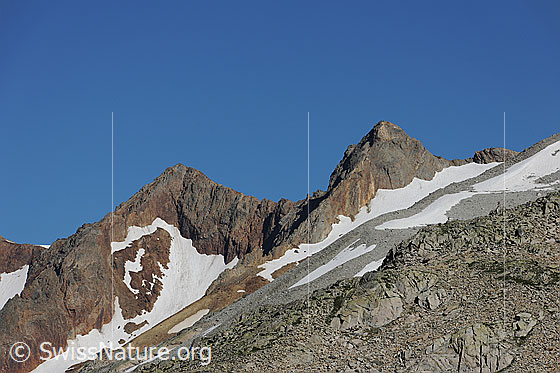 Foto: Rot Stock und Sustenlimi.
Gletscher: Rotstockfirn - Brunnenfirn
