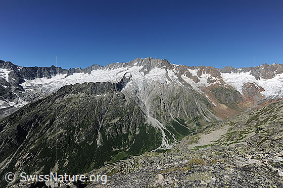 Foto: Gesamtansicht des Dammastock-Massivs. Davor das Chelenalptal.
Gipfel: Winterstock - Gletschhorn - Galenstock - Tiefenstock - Rhonestock - Dammastock - Schneestock - Eggstock - Maasplanggstock - Hinter Tierberg.
Gletscher: Dammagletscher - Rotfirn - Mässplanggstockfirn - Schattmigstockfirn - Maasplanggfirn - Chelengletscher