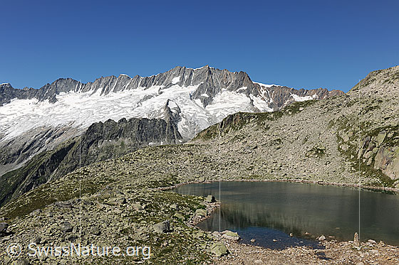 Foto: Bergsee und Dammastockmassiv mit den Gipfeln Tiefenstock, Rhonestock, Dammastock, Schneestock und Eggstock. Davor: Dammagletscher, Moosstock und Rotfirn.
