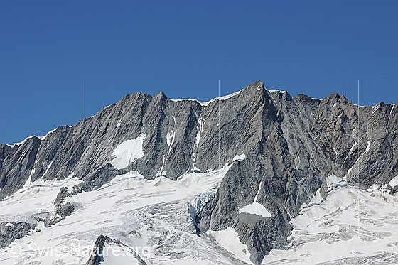 Foto: Dammagletscher und Rotfirn im Winterbergmassiv mit den Gipfeln Dammastock, Schneestock und Eggstock.