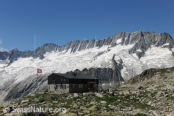 Foto: Dammastockmassiv und Bergseehütte (SAC Hütte). 
Gipfel: Tiefenstock, Rhonestock, Dammastock, Schneestock, Eggstock.
Gletscher: Dammagletscher und Rotfirn.