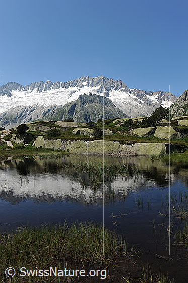 Foto: Dammastock mit Spiegelung im blauen Wasser eines Bergsees. Gras, Felsbänder und Felsblöcke sind im Uferbereich zu sehen.