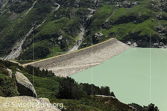 Foto: Staudamm Göscheneralpsee. Blick über Felsen in einem bewachsenen Berghang auf den Damm und das grüne Wasser des Stausees.