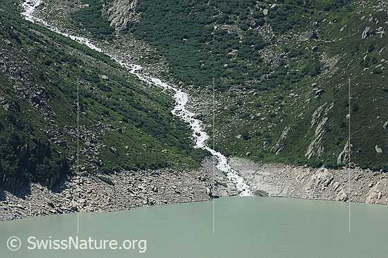 Foto: Dammareuss und Göscheneralpsee. Der Bergbach schlängelt sich durch ein bewachsenens, enges Tal und mündet in den Stausee.