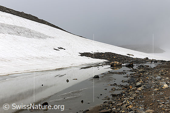 Foto: Mystische Stimmung an kleinem Bergsee. Im seichten Wasser spiegelt sich ein Schneefeld und im Vordergrund liegen Steine. Der Schneerand im Hintergrund verliert sich im Nebel.
